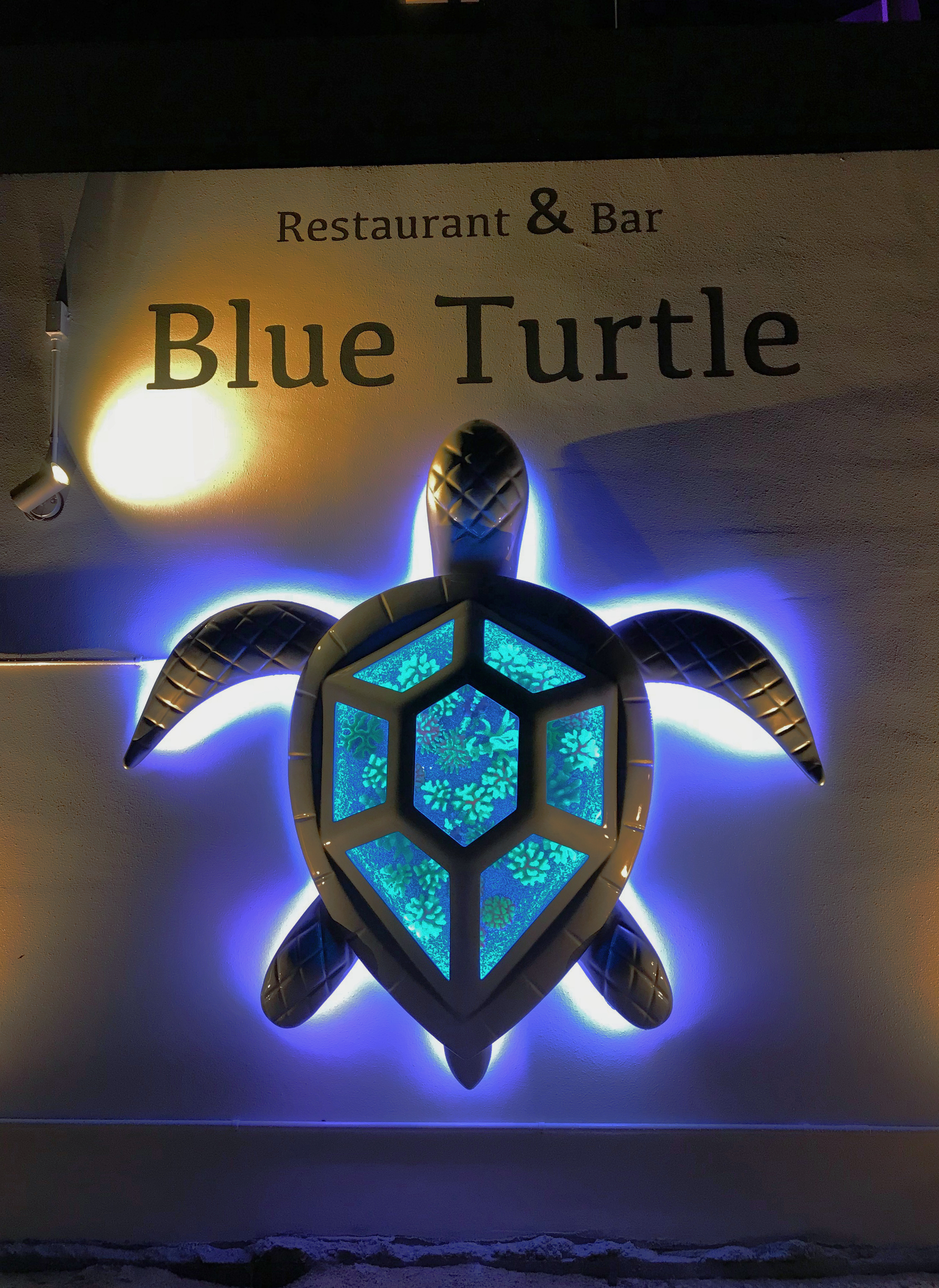 内装ギャラリーの「BLUE TURTLE」店舗写真