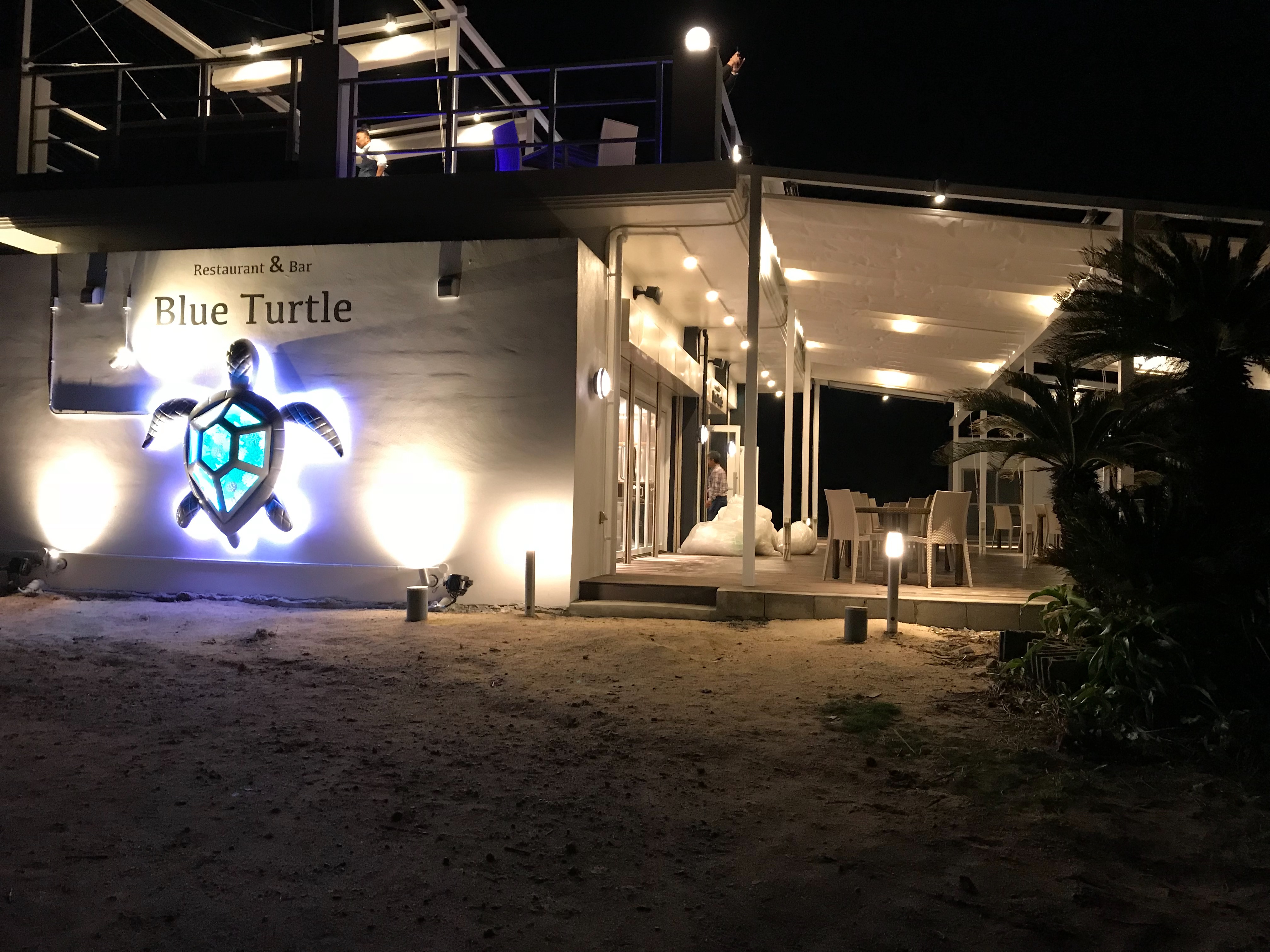 内装ギャラリーの「BLUE TURTLE」店舗写真
